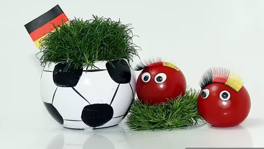 Hungary and West Germany World Cup Final 1954