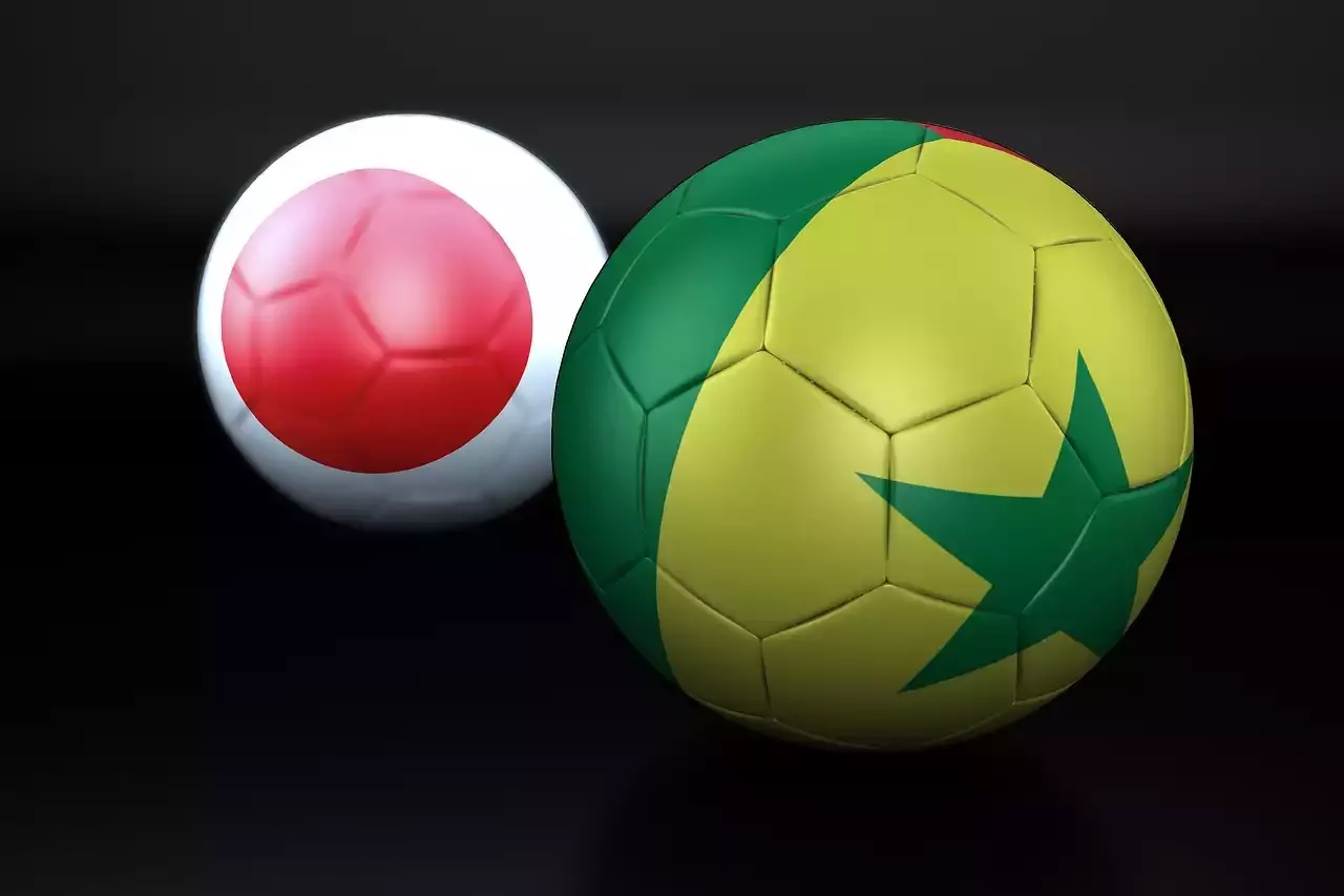 How Russia won the Bid to Host the 2018 World Cup